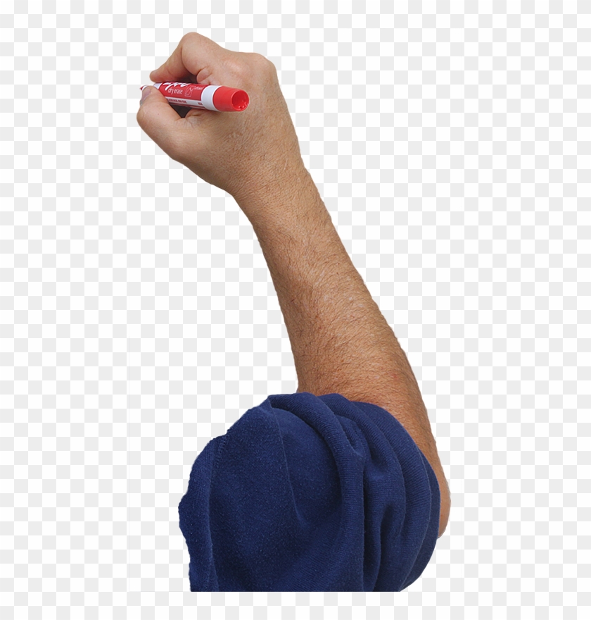 Set Of Smaller Hands Attached Here - Hand For Videoscribe Clipart