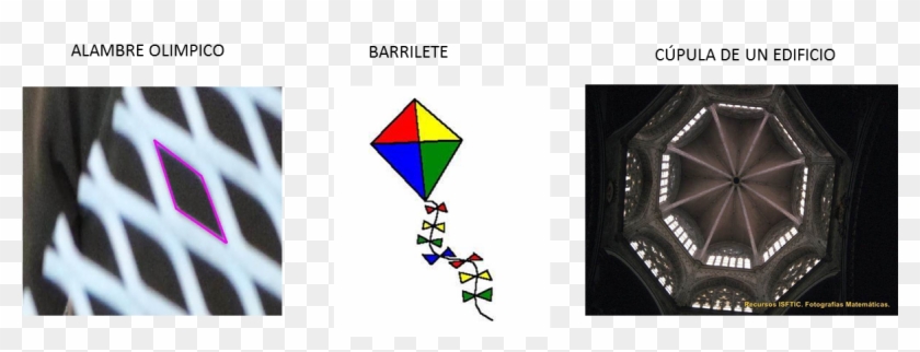 Tanto Los Presentes En La Naturaleza Como Los Creados - Graphic Design Clipart