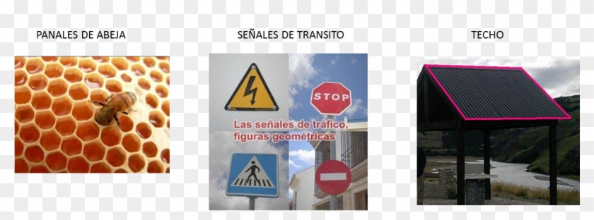 Tanto Los Presentes En La Naturaleza Como Los Creados - Traffic Sign Clipart