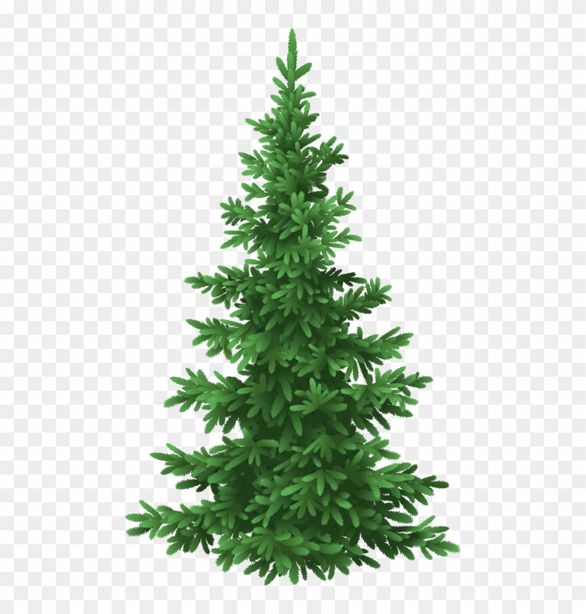 Christmas Tubes / Fir Branches - Kids Camp Clipart