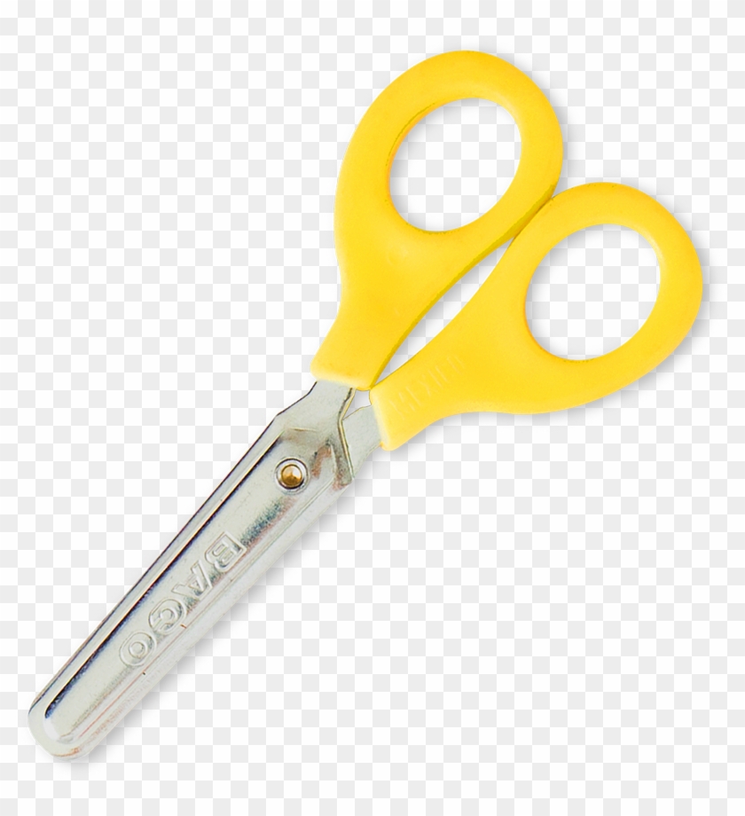 A Lo Largo De Décadas Hemos Construido Una De Las Principales - Imagenes De Articulos Escolares Clipart