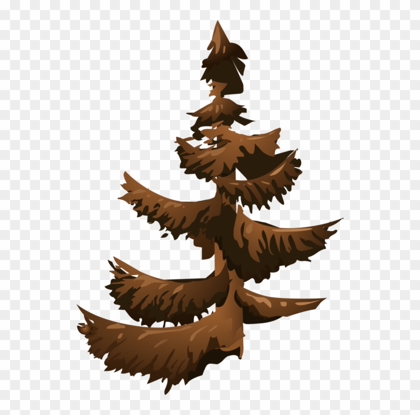 Fir Spruce Tree Conifers Branch - Tree Clipart #3633130