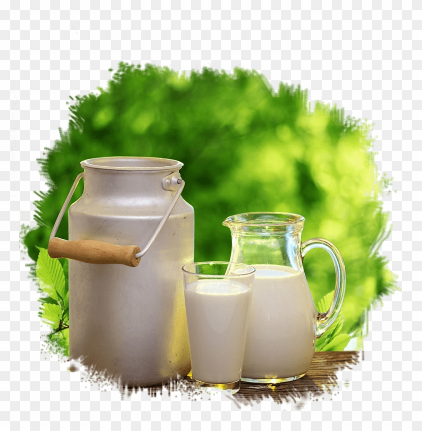 Tpyesmilk - Desi Cows Milk Clipart #3633210