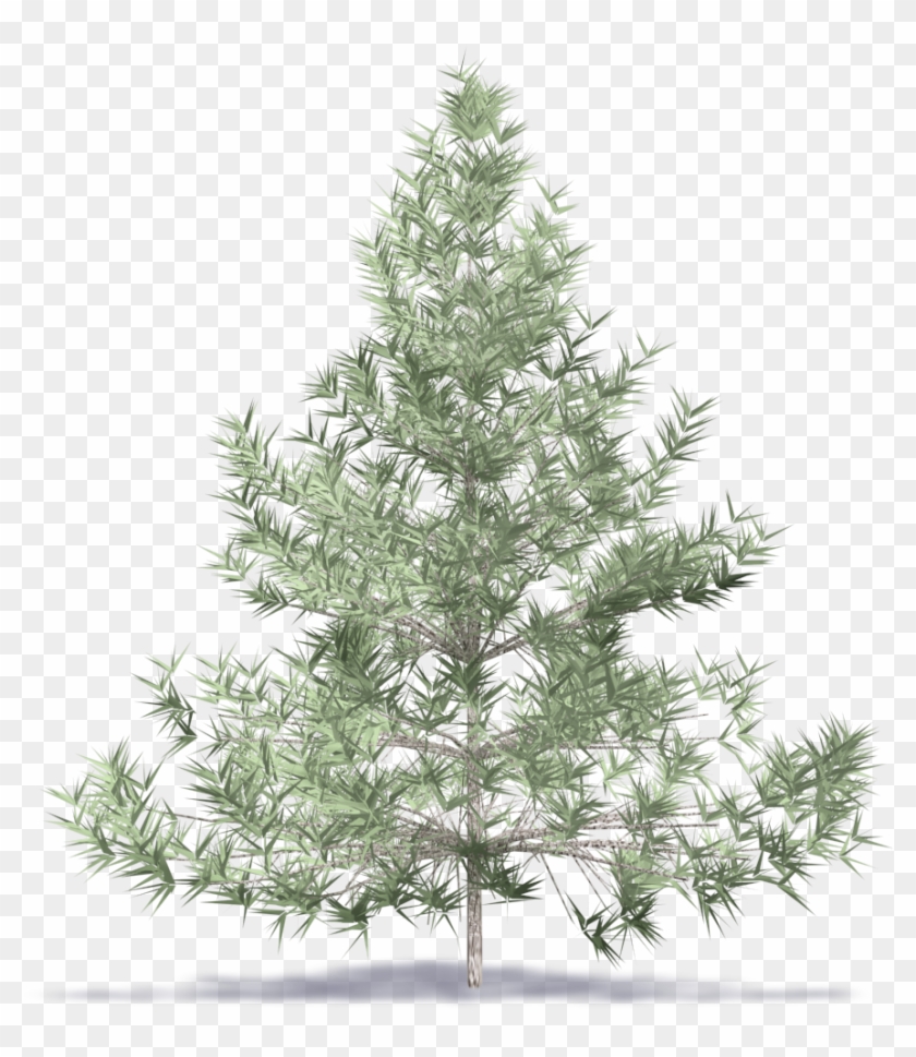 Fir Tree - Fraser Hill Farm Flocked Mountain Pine Tree Clipart