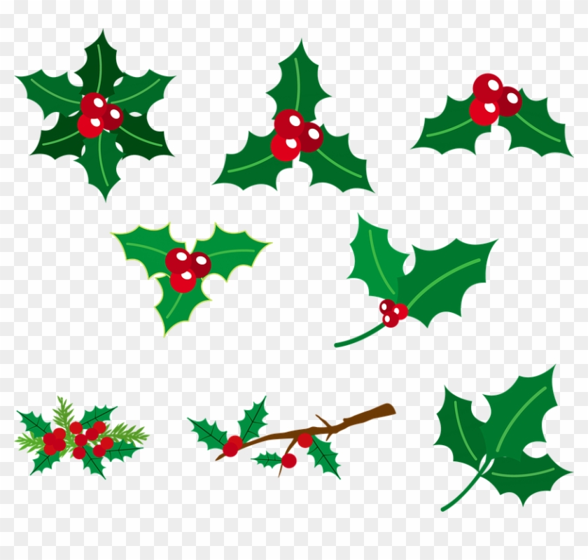 Holly Berries Red And Green Christmas Green Holly - 12 月 植物 イラスト Clipart #3633452