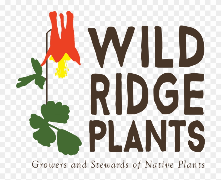 Wild - Illustration Clipart