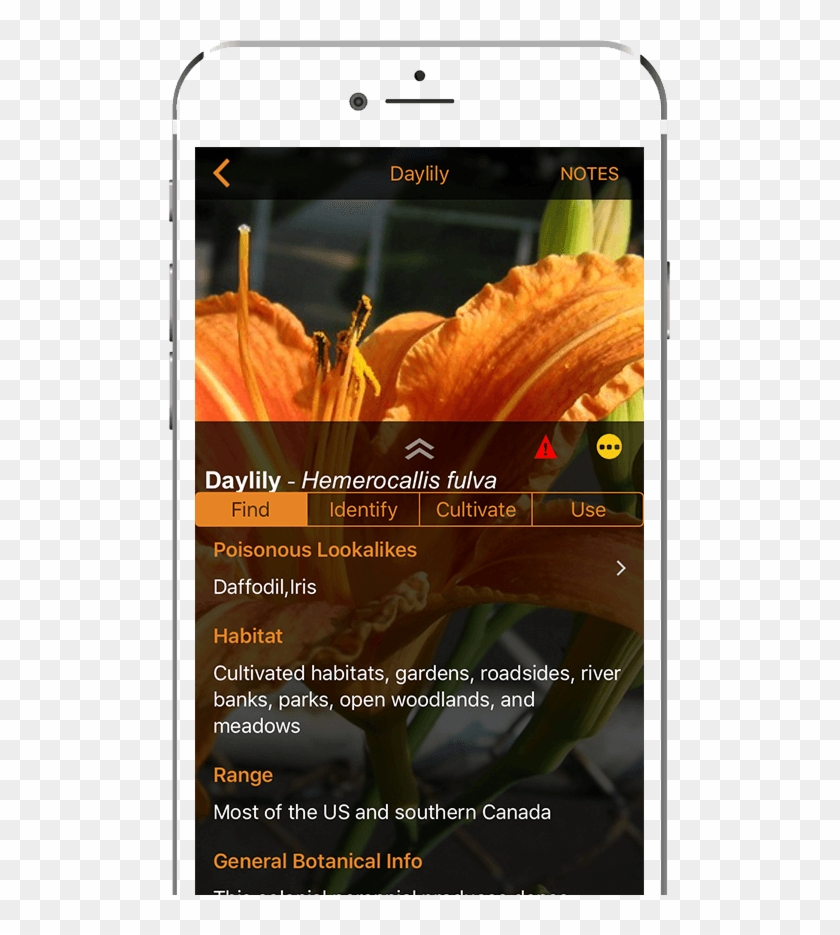 The Wild Edibles Forage App - Smartphone Clipart