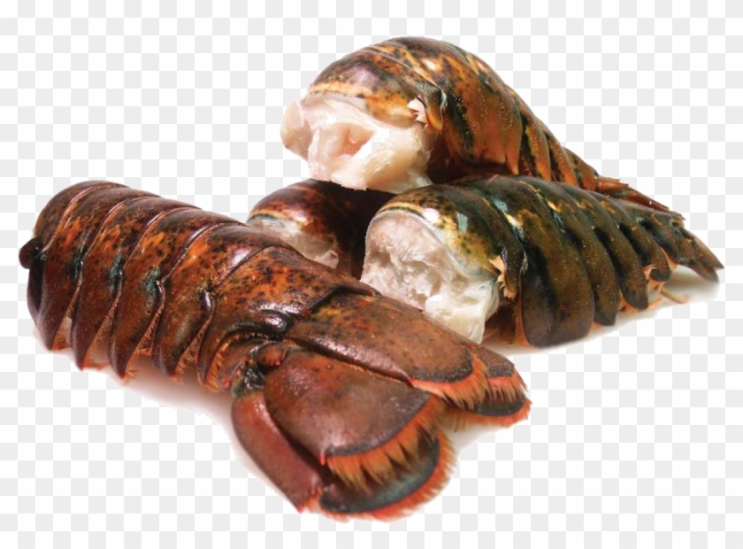 Canadian Lobster Tails - Canadian Lobster Tail Clipart #3633847