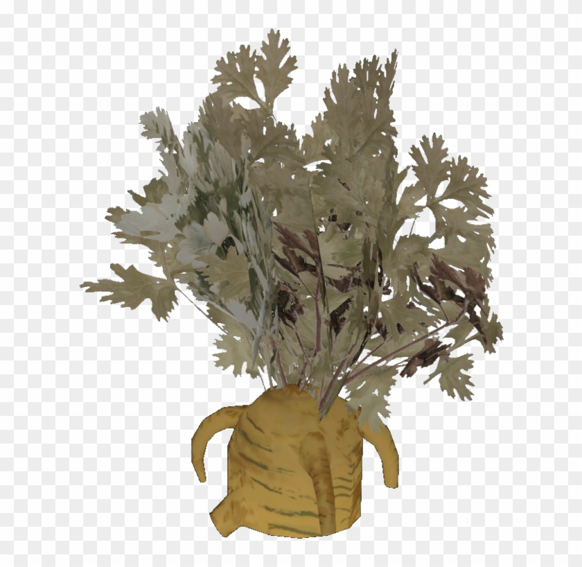 Buttercup Clipart #3634239