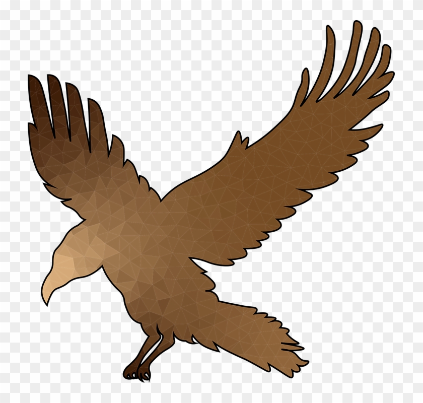 Crow Flight Bronze Wings Raven Bird Feather - Buzzard Clipart #3634438
