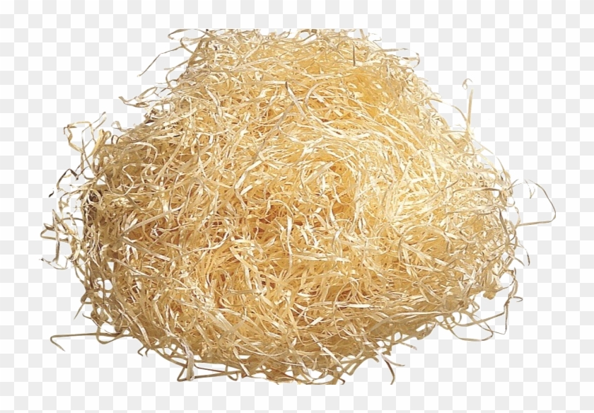 Download Wood Wool - Sawdust Png Clipart Png Download - PikPng