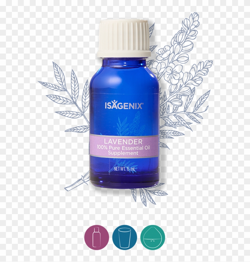 Lavender - Isagenix Airway Essential Oil Clipart #3635891