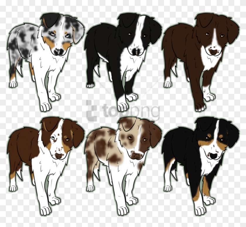 Free Png Australian Shepherd Drawing Easy Png Images - Drawings Of Puppys Australian Shepherd Clipart #3636261