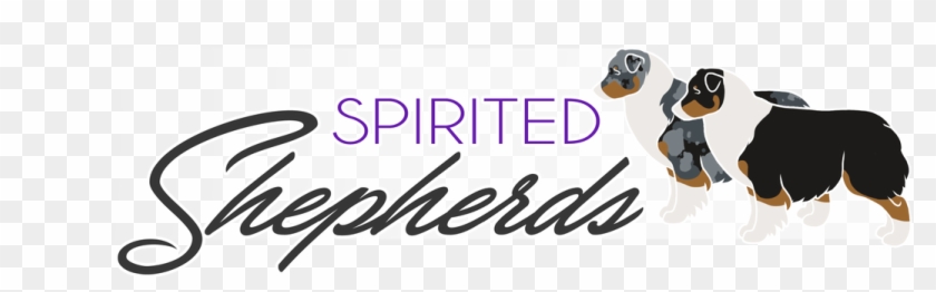 Australian Shepherd Puppies Available - Animal Figure Clipart