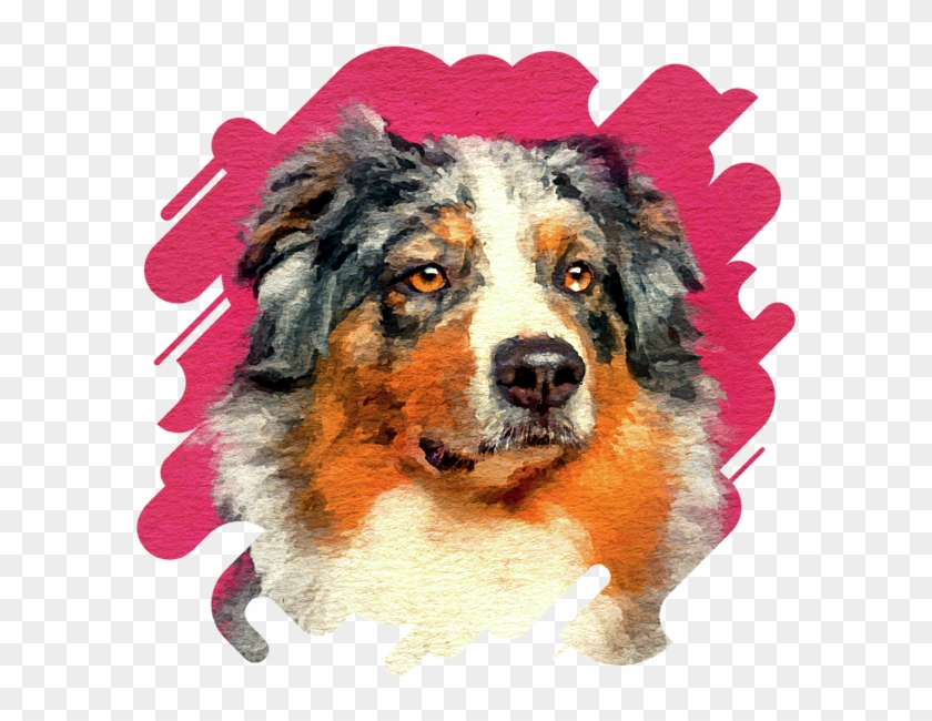 Click And Drag To Re-position The Image, If Desired - Australian Shepherd Watercolor Clipart #3637109