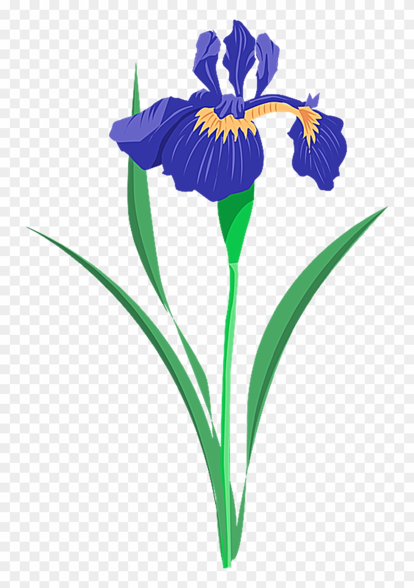 Grab This Free Summer Flower Clip Art - Blue Iris Flower Clip Art - Png Download