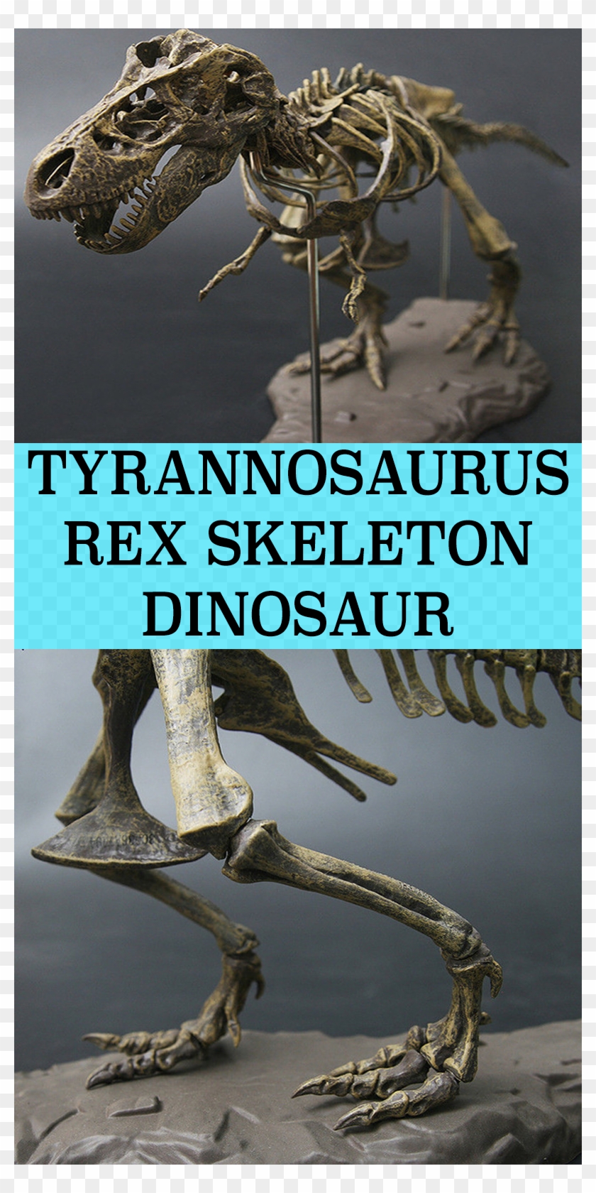 Imagine Bringing A Dinosaur Back To Life Now You Can - Dinosaur Clipart