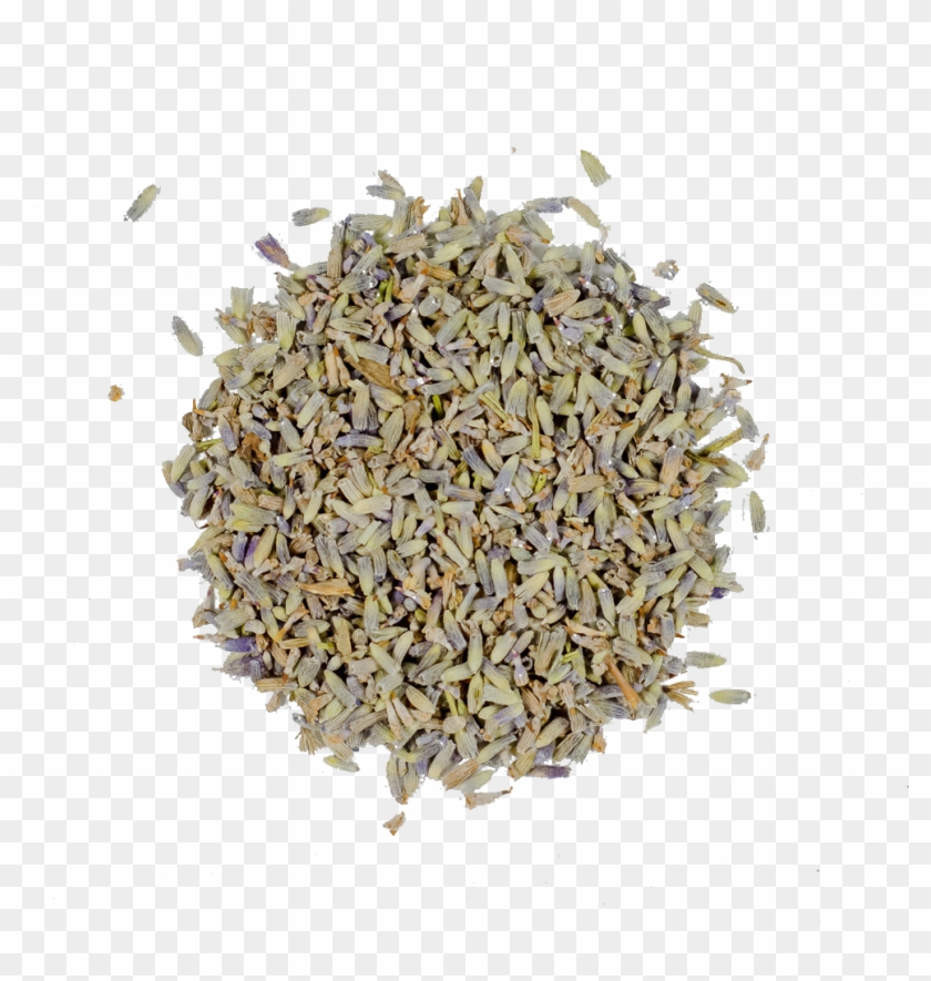 Organic Lavender Flower - Lavender Clipart #3637440