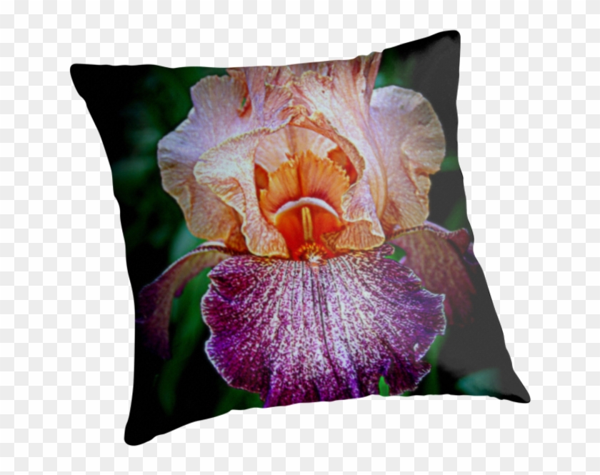 Vibrant Iris Flower - Cushion Clipart