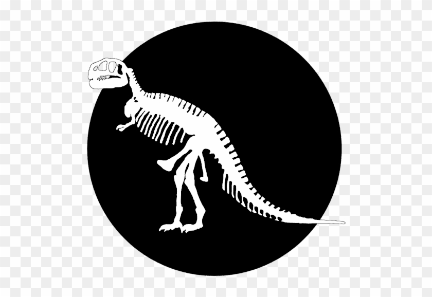 Tyrannosaurus Rex Skeleton By Steph J - Tyrannosaurus Clipart #3637643