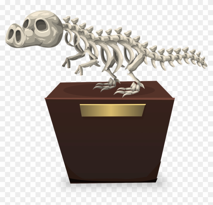 Dinosaur Skeleton Paleontology - Cute Fossil Clipart #3637790