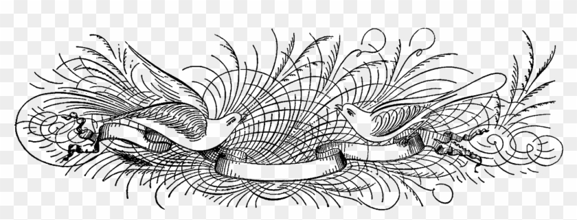 Digital Decorative Label Design Downloads Png - Line Art Clipart