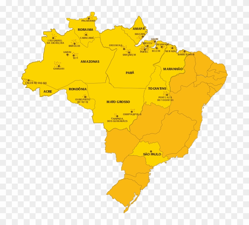 Mapa Do Brasil Com As Bibliotecas Da Vaga Lume Destacadas, - Brazil Clipart #3638728