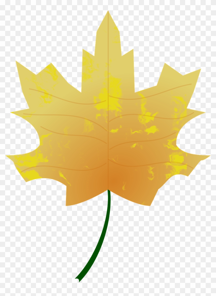 Autumn Colours Fall Leaf Nature Png Image - Fall Vector Clipart #3638928