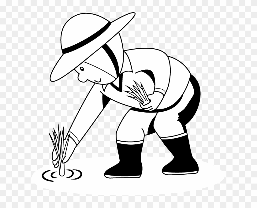 Rice Plant Colouring Pages - Biparental Mating Clipart #3638930