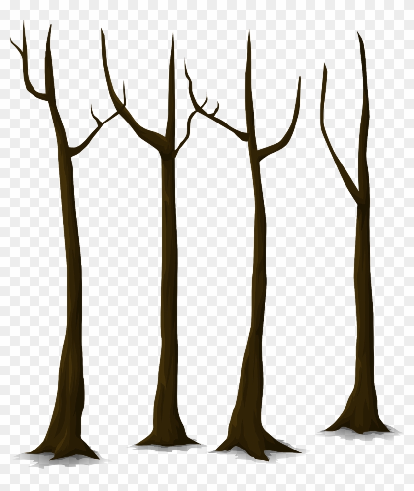 Tree Dead Trunk Nature Leaves Png Image - Tree Bunch Png Clipart #3639053