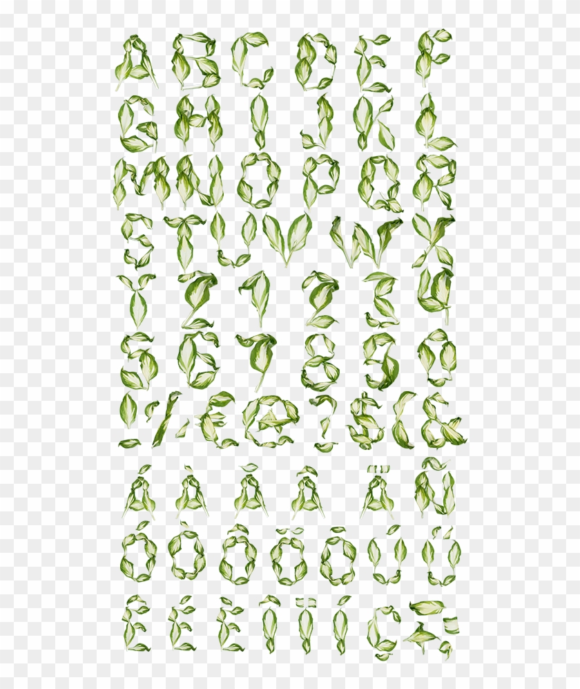 Pipal Leaves Font Alphabet - Alphabet Nature Font Clipart #3639266