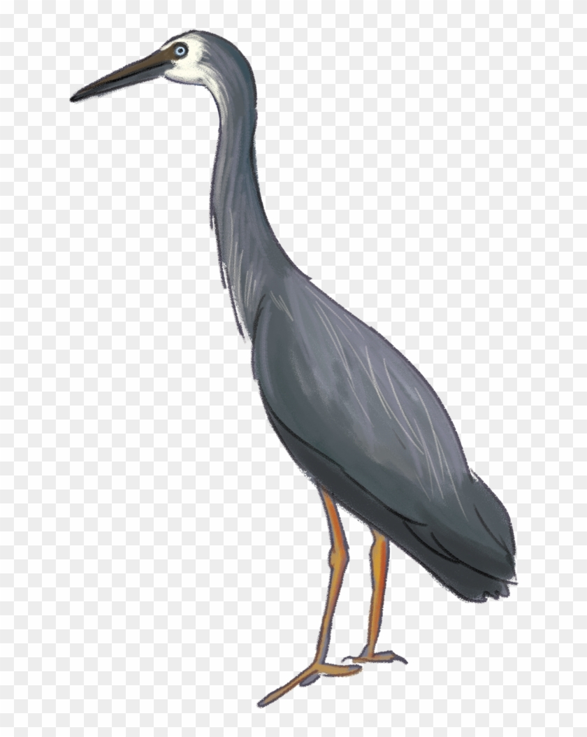 Heron Download Png Image - Great Blue Heron Clipart