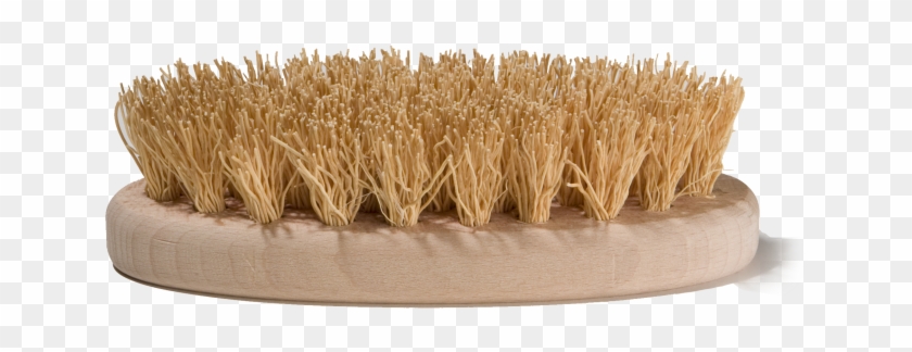 Description And Applications - Grass Clipart #3639317