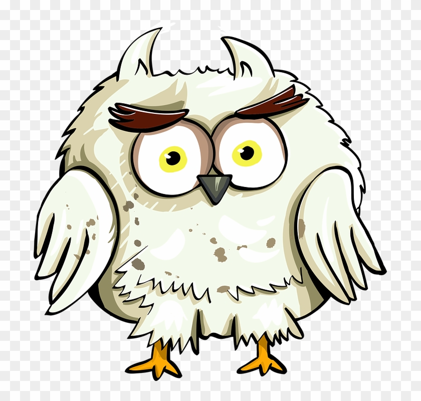 Owl Bird Eyes Cartoon Good Character Cute Animal - Harry Potter Fan Art Clipart