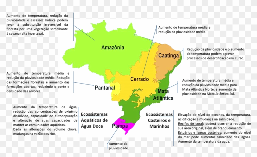 Adaptado De Brasil E Ipcc Ar5 América Do Sul (2014) - Mapa Dos Biomas Brasileiros Clipart #3639611