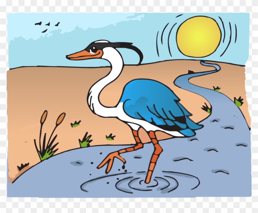 Clipart Wallpaper Blink - Water Bird - Png Download