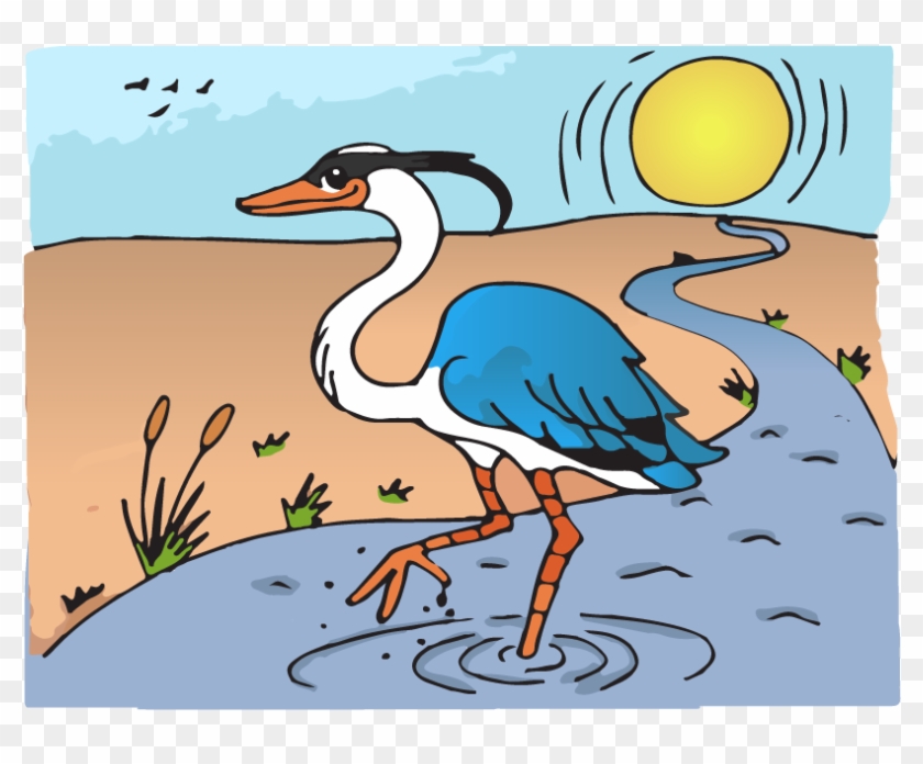 Clipart Wallpaper Blink - Water Bird - Png Download #3639777