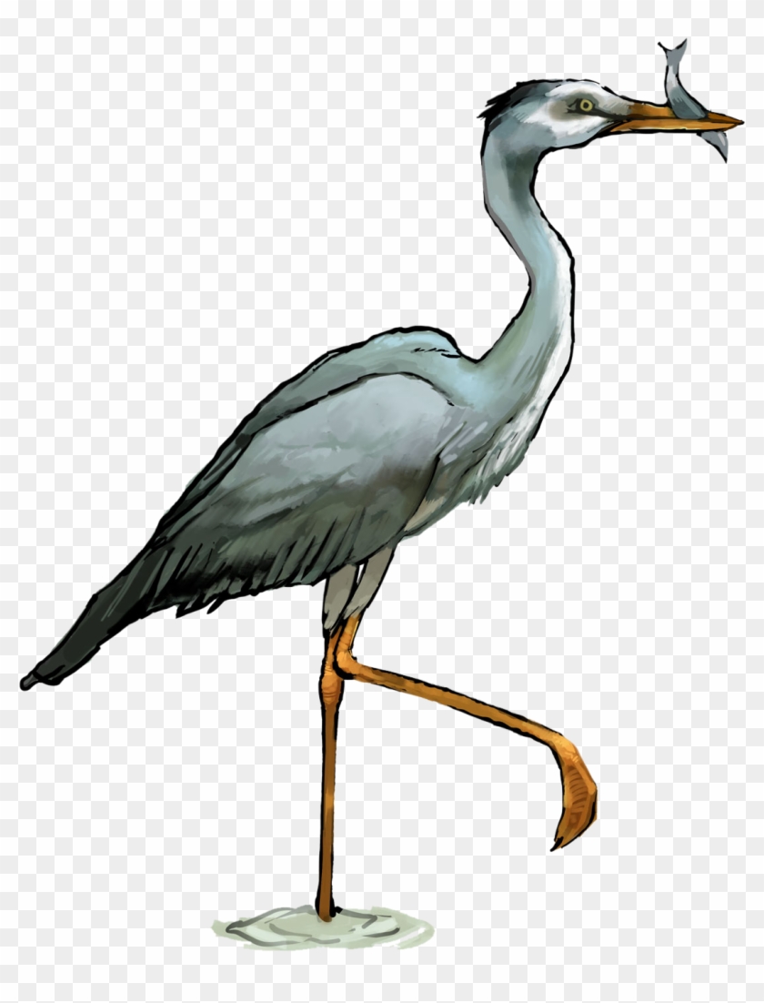 Heron Png Transparent - Heron Clipart Png #3640099