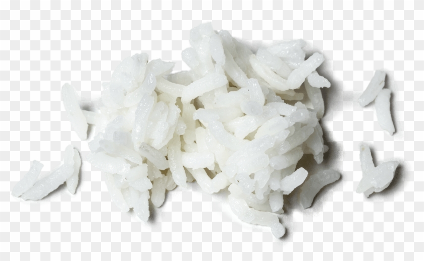 What's The Difference Between Basmati Rice And Jasmine - Hydrangea Clipart
