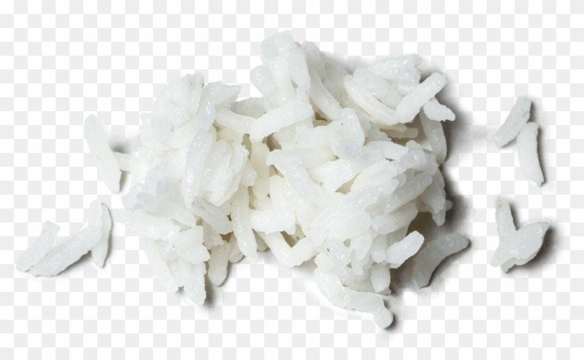 What's The Difference Between Basmati Rice And Jasmine - Hydrangea Clipart #3640252