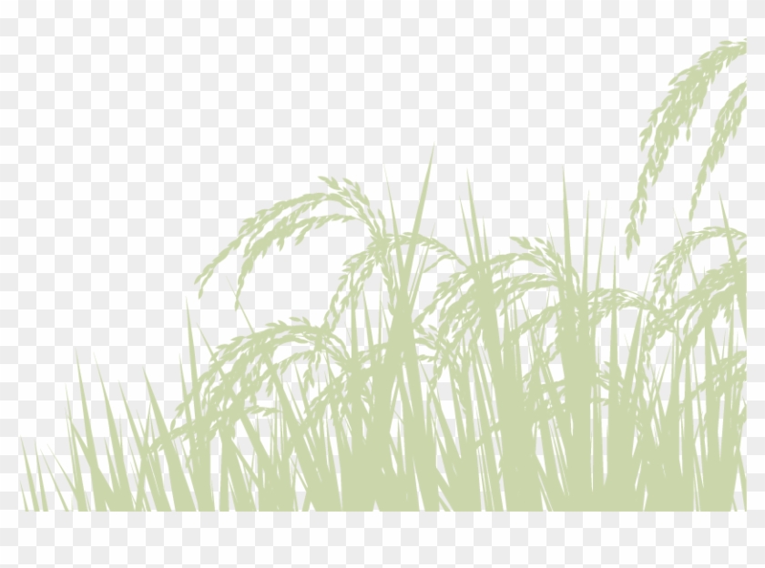 Retired Hydraulic Engineer Boris Kosenko Wrote A Poem - Phragmites Clipart #3640345