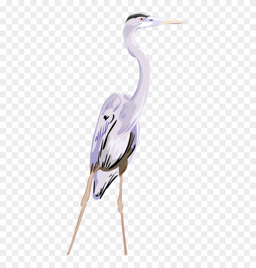 Egret Clipart
