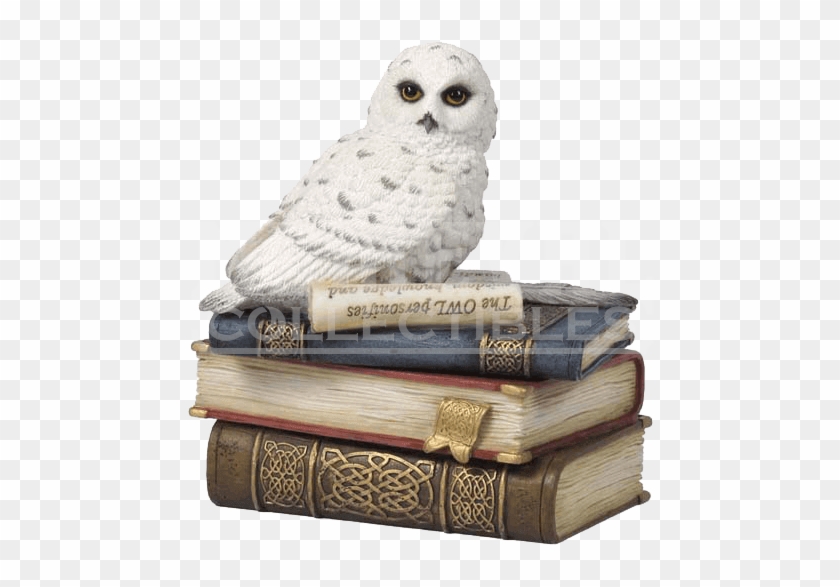 Owl On Books Clipart #3640876