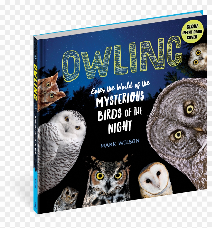 Owling By Mark Wilson Clipart
