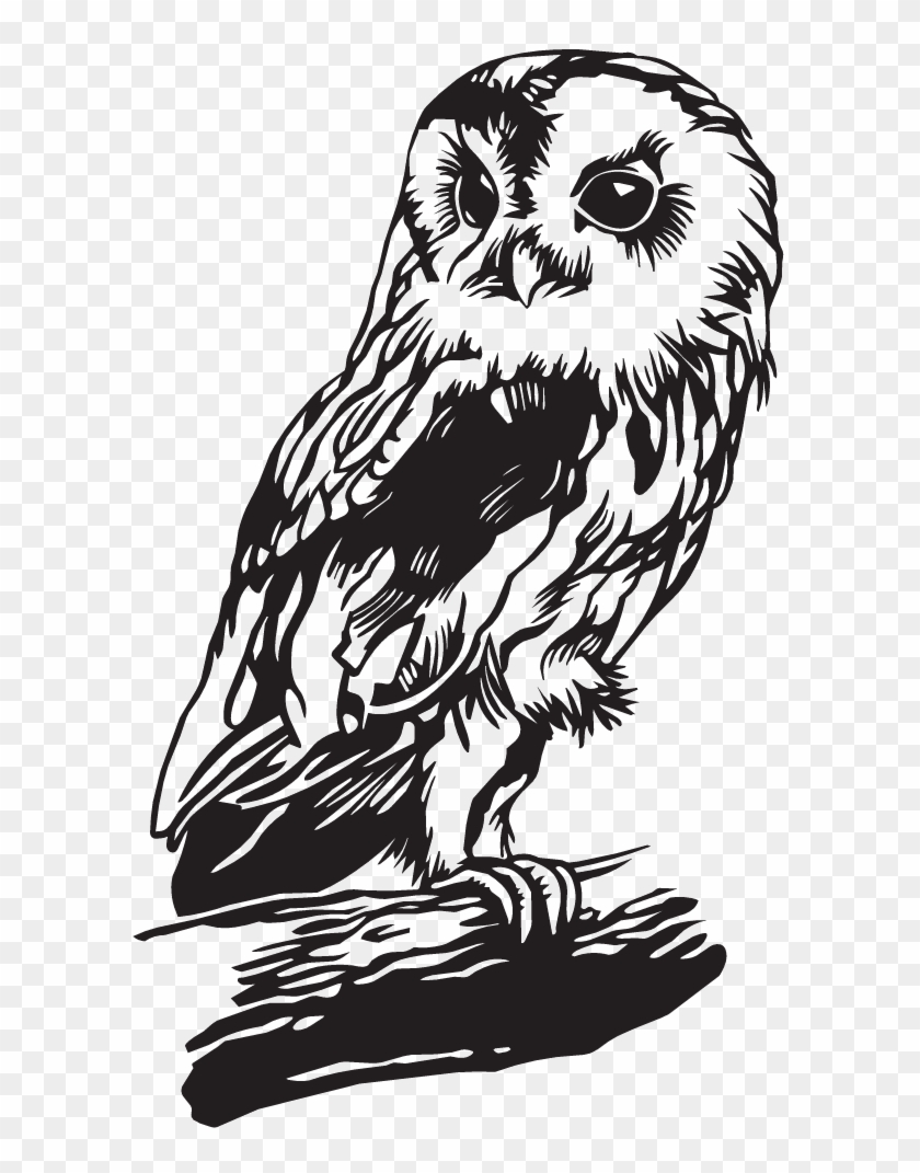 Dc13076 - Stickers Harry Potter Hedwige Clipart