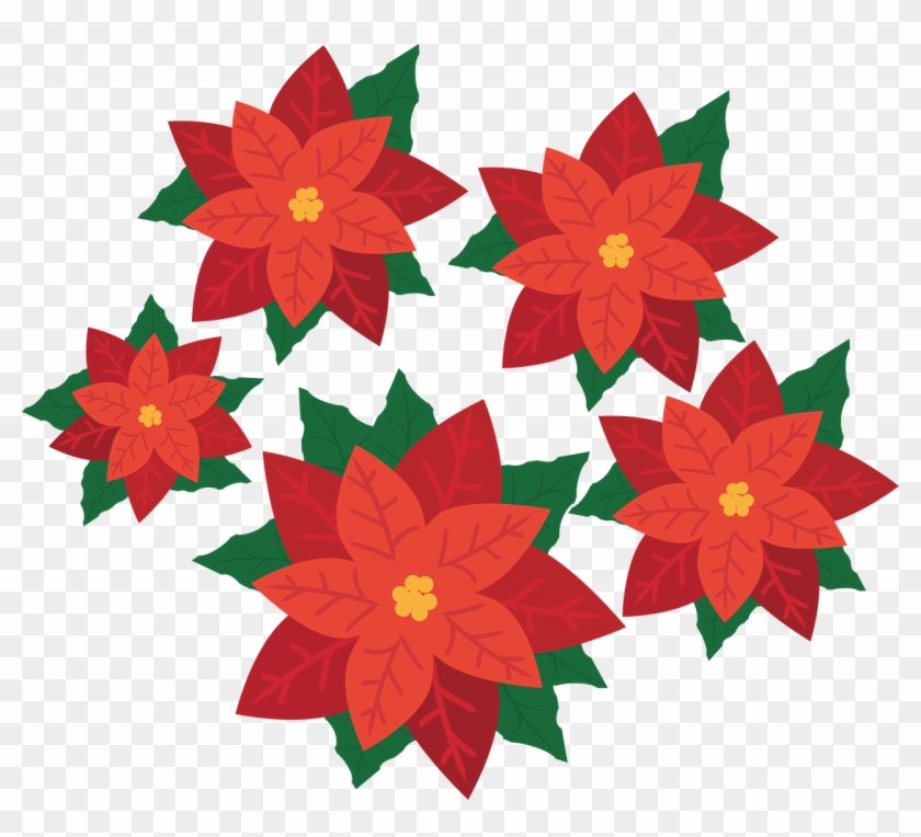 Flower - Poinsettia Clipart Transparent - Png Download