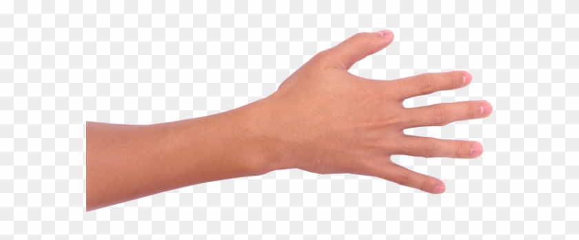 Mao Segurando Png - Mao Png Segurando Clipart