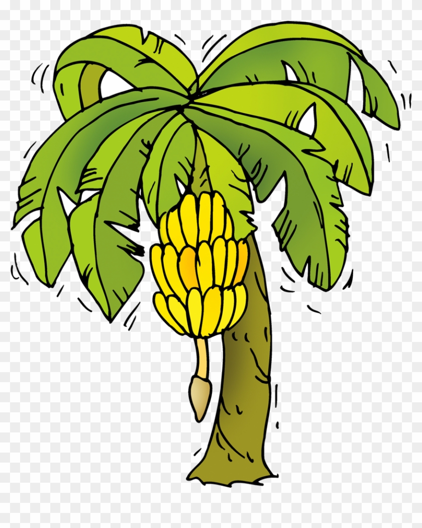 Banana Tree Cartoon Png - Banana Tree Clipart Png Transparent Png #3642240