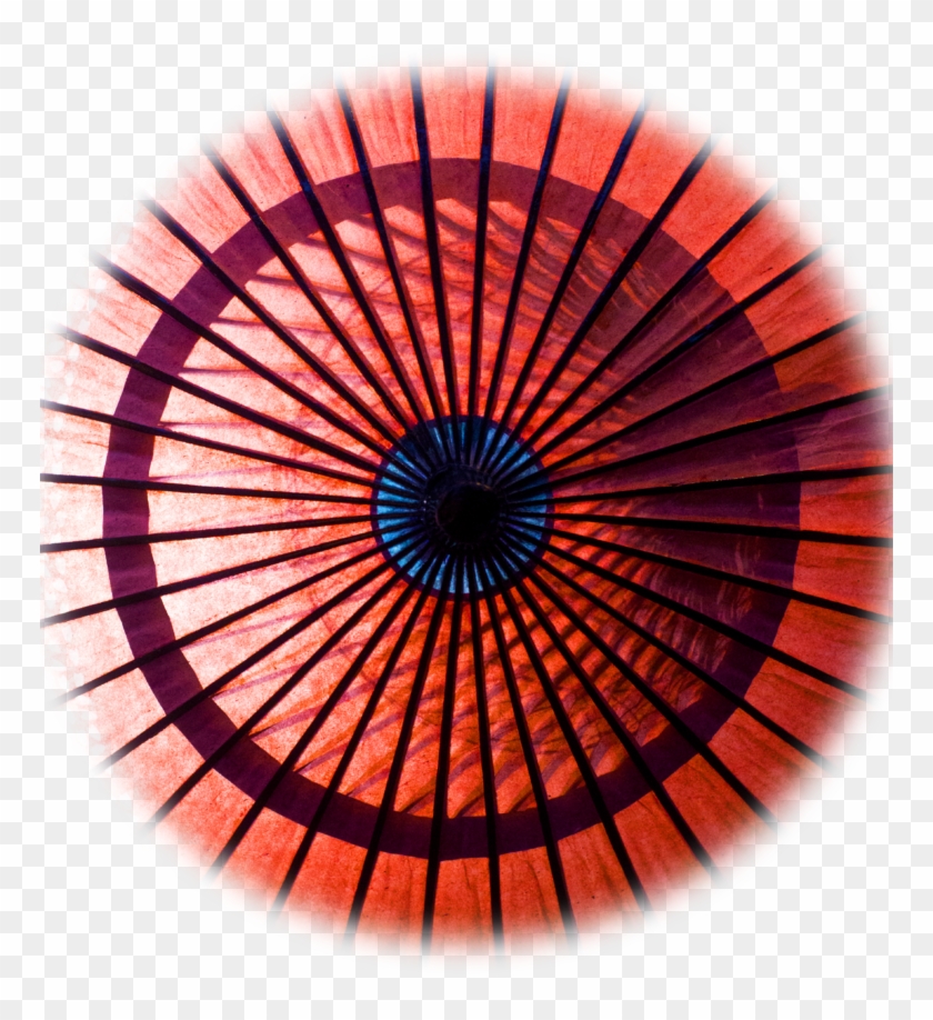 With Our Own Branded E-commerce Platform Site, Hotk Clipart #3644148