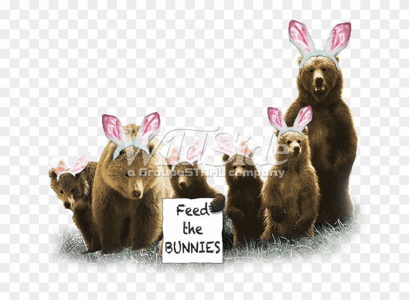 Feed The Bunnies - Domestic Rabbit Clipart